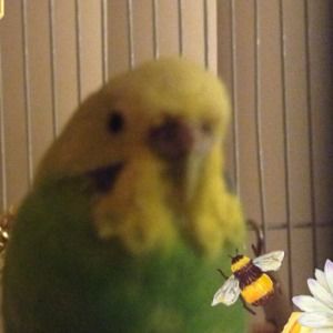 Meet your Posher, Lydia